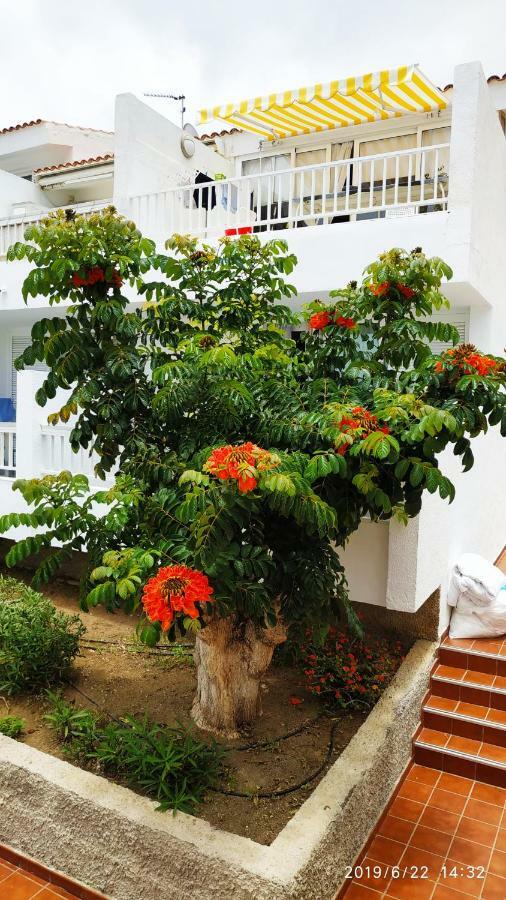 Club El Paradero Плая-де-лас-Америкас Экстерьер фото